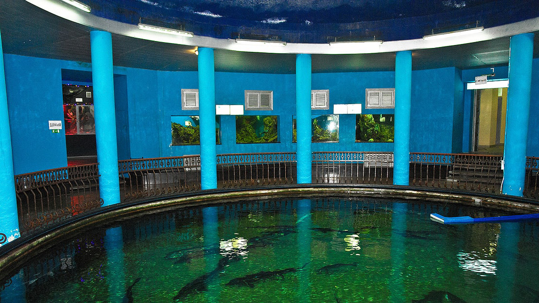 Севастополь аквариум музей